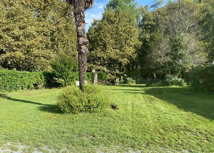Domaine De Cachaou Logis Du Pujeau Sauna & Spa Piscine Chauffee