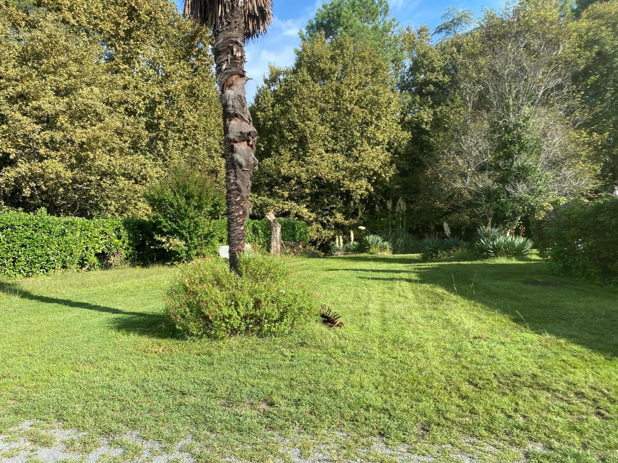Domaine De Cachaou Logis Du Pujeau Sauna & Piscine Chauffee *